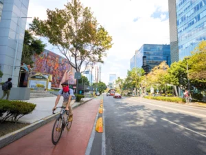 ciclovías canalizadas
