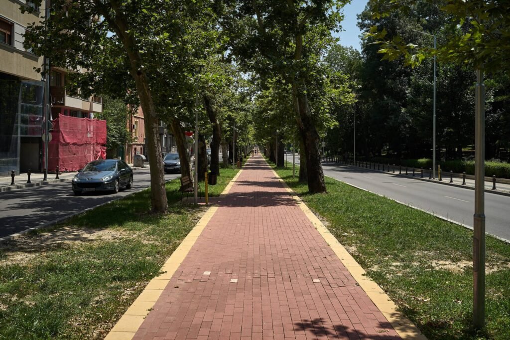 Sendero entre camellones diseñado para peatones y ciclistas, ejemplo claro de los tipos de ciclovías pensados para convivir en espacios verdes.