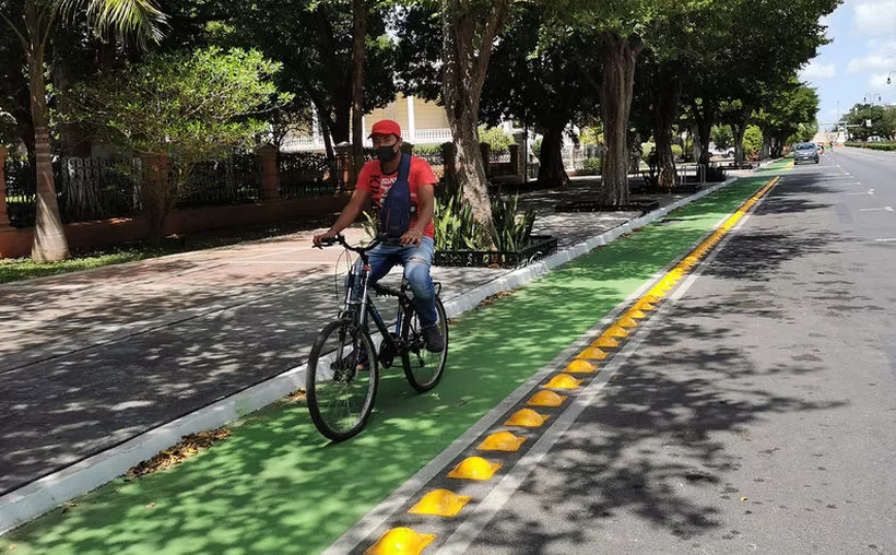 Hombre pedaleando en un carril verde protegido por separadores plásticos, bajo la sombra de árboles en una avenida residencial de Yucatán.