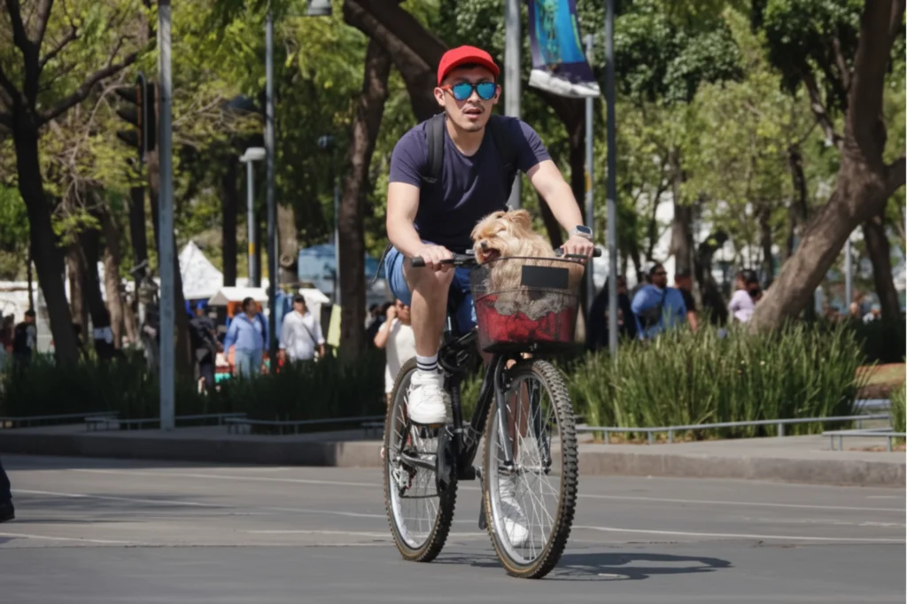 Ciudadano pedaleando por ruta para bicicleta en la capital, parte de la infraestructura ciclista que impulsa el Plan Ciclista 2025–2030.